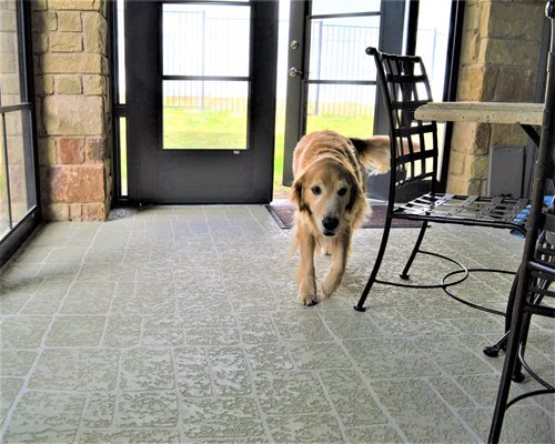 Patio Classic Texture Cedar Park
Patios & Outdoor Living
SUNDEK Austin
